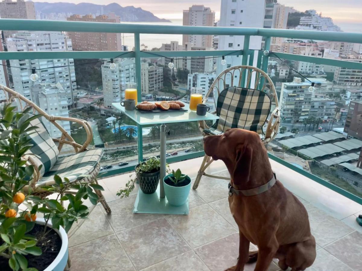 Traveler'S Beach Apartment With Sea View, Free Coffee & Parking Benidorm Ngoại thất bức ảnh